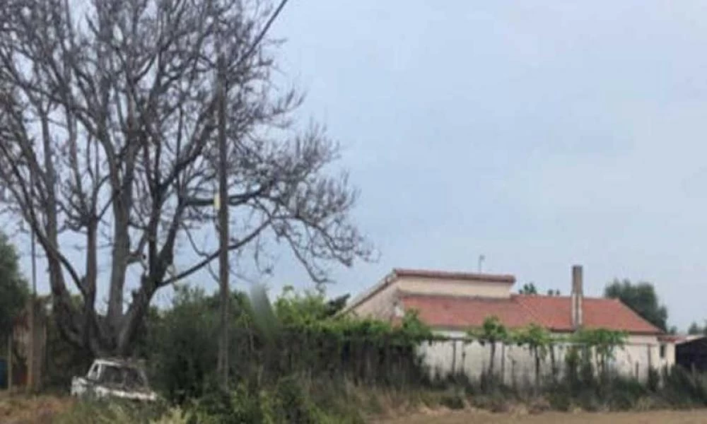 Ηλεία: 69χρονος αυτοκτόνησε με καραμπίνα